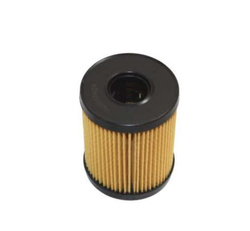 filtr oleju Ford 2.0 TDCI DW/DW10/DW10C / 2.2 2.4 3.2 TDCI DE Germany