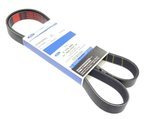 pasek napędowy osprzętu silnika Ford 2.0 EcoBlue TDCI OE: 2175649 ®