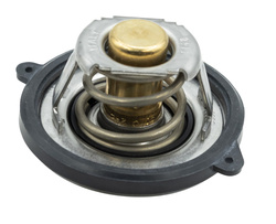 termostat silnika Ford 1.0 EcoBoost Neo 2018-2019 #2223707