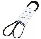 pasek napędowy osprzętu silnika Ford Transit 2.0 EcoBlue TDCI 2361315