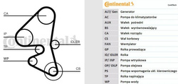1.5 1.6 TDCi SOHC - zestaw rozrządu + pompa wody Conti # 2008686