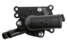 obudowa termostatu silnika Ford 1.0, 1.1 benz. zamiennik 1872633 NTY