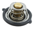 termostat silnika Ford 1.0 EcoBoost Neo 2018-2019 #2223707