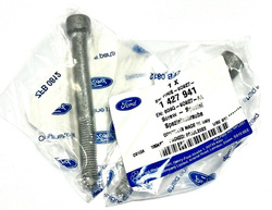śruba do łapy wtryskiwacza Ford diesel 2.0 TDCi DW10C/F ® 1427941