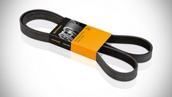 pasek wieloklinowy Mondeo Mk4 S-Max Galaxy 2.2 TDCI / zamiennik 6pk174
