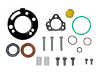 zestaw naprawczy pompy wtryskowej paliwa Delphi Ford 2.0 TDCi DW10F