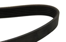 pasek wieloklinowy Ford 2.0 TDCI DW10F #1865893 INA
