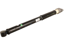 amortyzator zawieszenia tylnego Ecosport 1915808 FN1C-18080-BB