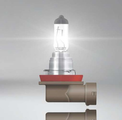 żarówka halogenu H11 PGJ19-2 - Osram 64211 = Ford 4113066