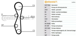 2.0 TDCI DW - zestaw rozrządu + pompa wody ContiTech #1855732