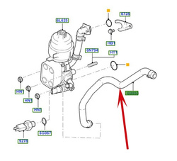 przewód ukł. chłodzenia Ford 2.0 TDCI DW/DW10 Gates #1303493