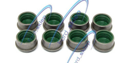 uszczelniacze zaworowe Reinz - DURATEC-HE | EcoBoost  - Reinz