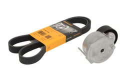 napinacz + pasek wieloklinowy 6PK1244 Conti - Ford 2.0 TDCI DW10C