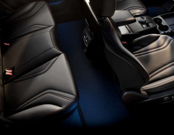 dywanik podłogi welurowy Ford Mustang Mach-E ® 2479040 TYŁ