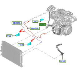 przewód chłodnicy Ford 2.0 TDCI DW10F ® 2081392 / FV418286