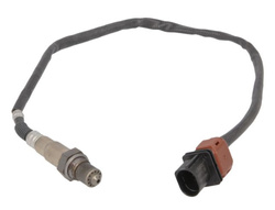 sonda ukł. wyd. Ford C-Max Focus MK3 Mustang Delphi #5299919 #1886204