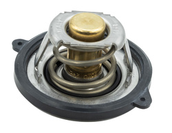 termostat silnika Ford 1.0 EcoBoost Neo 2018-2019 #2223707