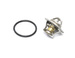 termostat Ford Fiesta ☆ Ka ☆  StreetKa - 1.3 Duratec 8V zamiennik