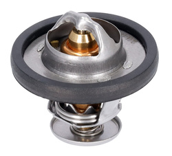 termostat silnika Ford 1.0 EcoBoost | 1.1 benzyna #1812482 Febi