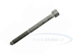 śruba do łapy wtryskiwacza Ford diesel 2.0 TDCi DW10C/F ® 1427941