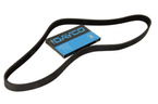 pasek wieloklinowy Ford 2.0 TDCI DW10F #1865893 DAYCO