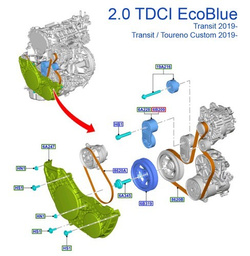 pasek napędowy pompy wody Ford Transit 2.0 EcoBlue TDCI RWD #2361286