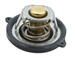 termostat silnika Ford 1.0 EcoBoost Neo 2018-2019 #2223707