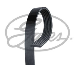 pasek wieloklinowy Focus III ✩ C-Max ✩ Kuga II - 1.5 EcoBoost