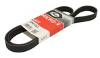 pasek napędowy osprzętu silnika Ford 2.0 EcoBlue TDCI #2751835 Gates