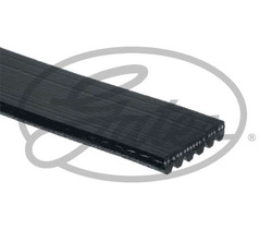pasek wieloklinowy Focus III ✩ C-Max ✩ Kuga II - 1.5 EcoBoost