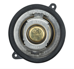termostat silnika Ford 1.0 EcoBoost Neo 2018-2019 #2223707