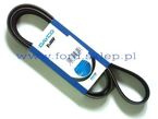pasek wieloklinowy Cougar Focus Mondeo ZETEC-E (+klima) Dayco 6PK2120