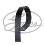 pasek wieloklinowy elastyczny Ford Mondeo Mk4 1.6 #1465590 
