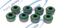 uszczelniacze zaworowe Reinz - DURATEC-HE | EcoBoost  - Reinz