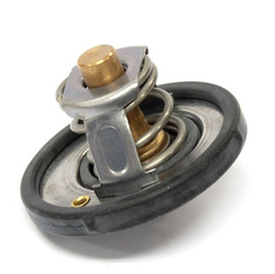 termostat Ford Zetec-S 1.25 1.4 1.6 Ford OE: 1712228, 4M5G-8575-ZA ®