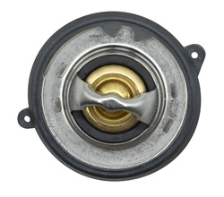 termostat silnika Ford 1.0 EcoBoost Neo 2018-2019 #2223707