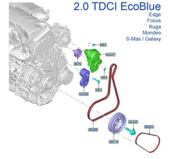 pasek napędowy pompy wody Ford 2.0 EcoBlue TDCI #2383422