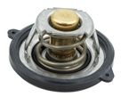 termostat silnika Ford 1.0 EcoBoost Neo 2018-2019 #2223707